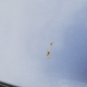 There are a few spots on the roof like this.
